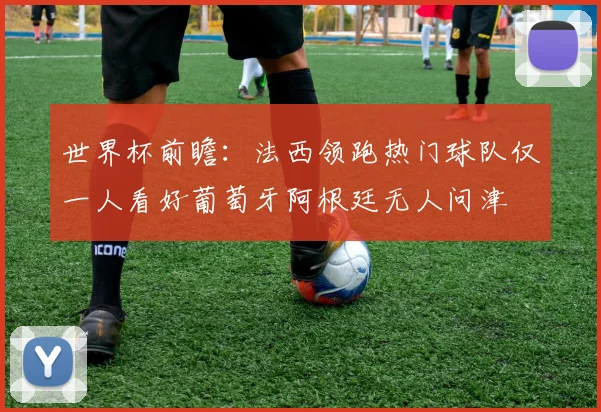 世界杯前瞻：法西领跑热门球队仅一人看好葡萄牙阿根廷无人问津