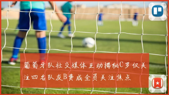 葡萄牙队社交媒体互动揭秘C罗仅关注四名队友B费成全员关注焦点